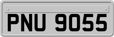 PNU9055