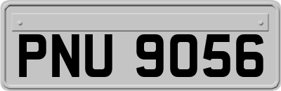 PNU9056
