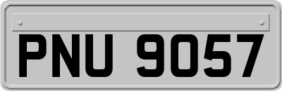 PNU9057