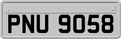 PNU9058