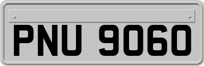 PNU9060