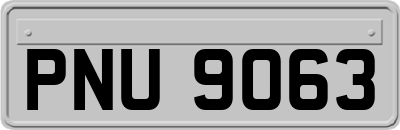 PNU9063