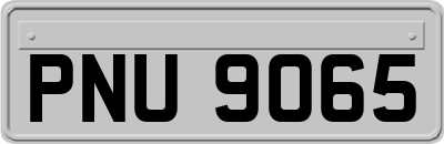 PNU9065