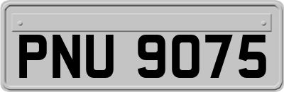 PNU9075