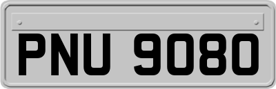 PNU9080