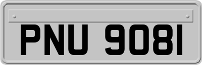 PNU9081