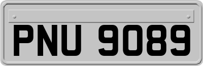 PNU9089