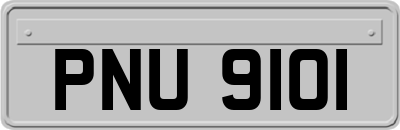 PNU9101