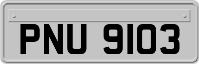 PNU9103