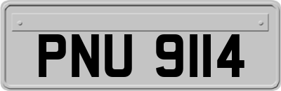 PNU9114