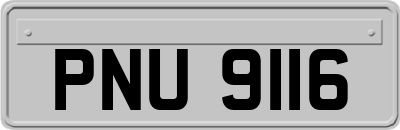 PNU9116