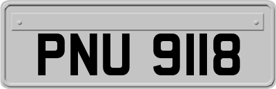 PNU9118