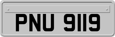 PNU9119