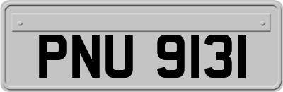 PNU9131