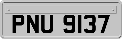 PNU9137