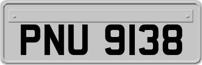 PNU9138