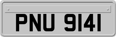 PNU9141