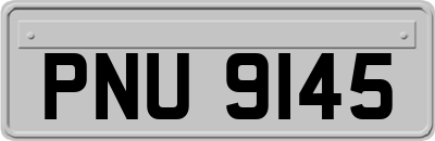PNU9145