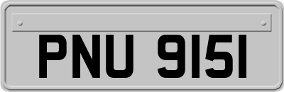 PNU9151