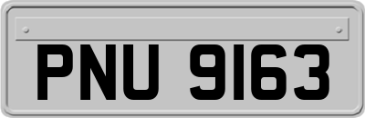 PNU9163
