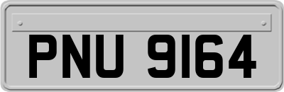 PNU9164