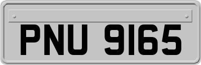 PNU9165