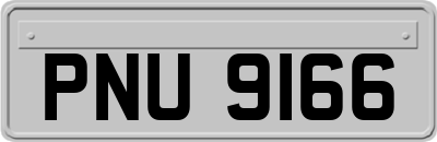 PNU9166