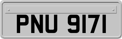PNU9171