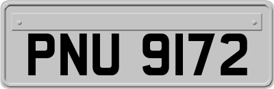 PNU9172
