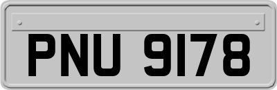PNU9178