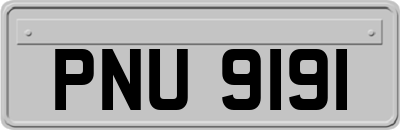 PNU9191