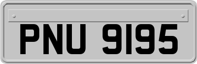 PNU9195