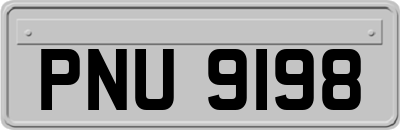 PNU9198