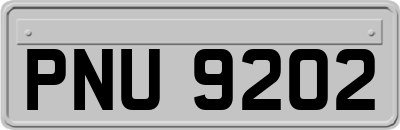 PNU9202