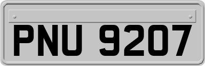 PNU9207