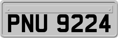PNU9224