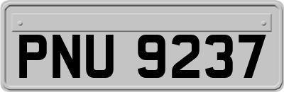 PNU9237