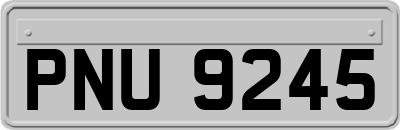 PNU9245