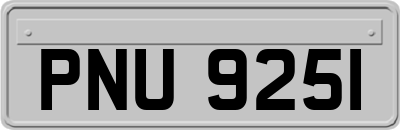 PNU9251