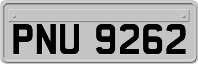 PNU9262