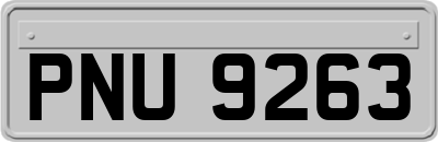 PNU9263