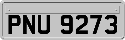 PNU9273