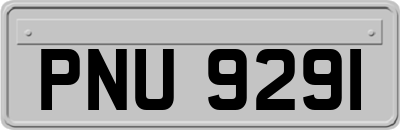 PNU9291