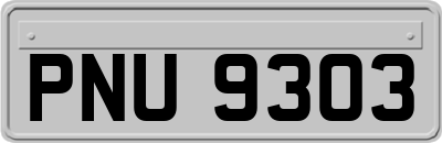 PNU9303