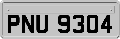 PNU9304