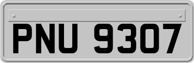 PNU9307