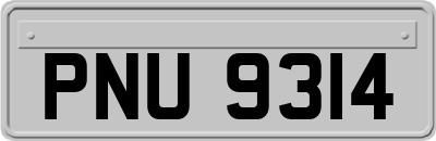 PNU9314