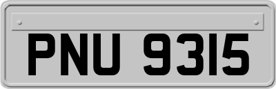 PNU9315