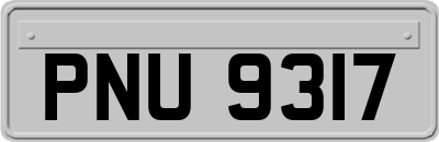 PNU9317