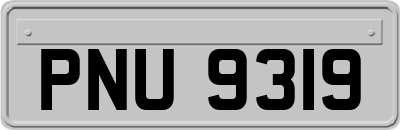 PNU9319